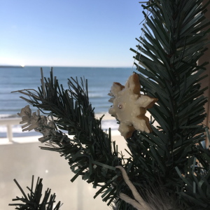 海をバックにクリスマスツリー！おしゃれ