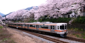 山北の桜　珍しく鉄道写真？